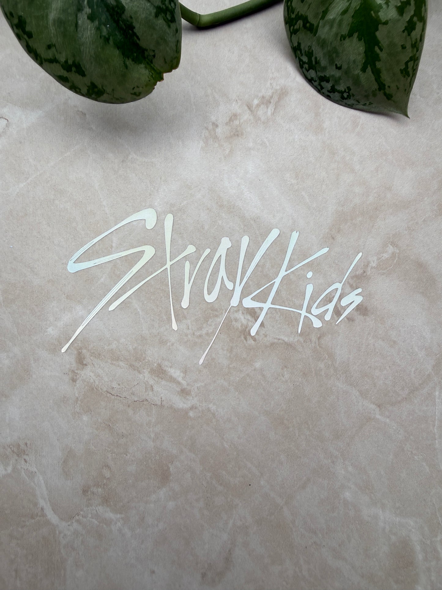 Stray Kids Vinyl Decal