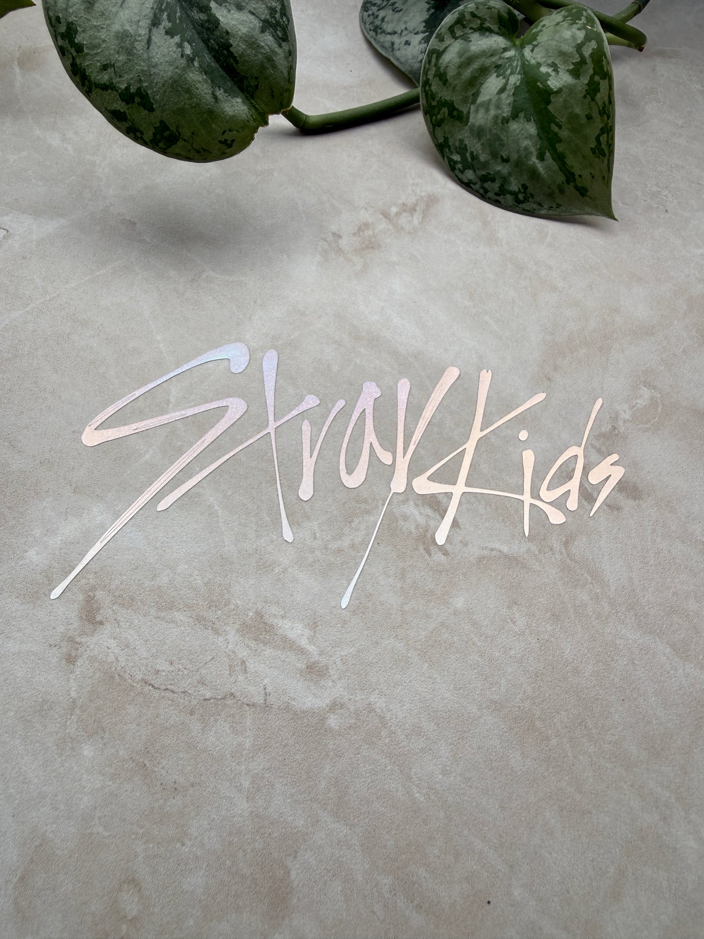 Stray Kids Vinyl Decal