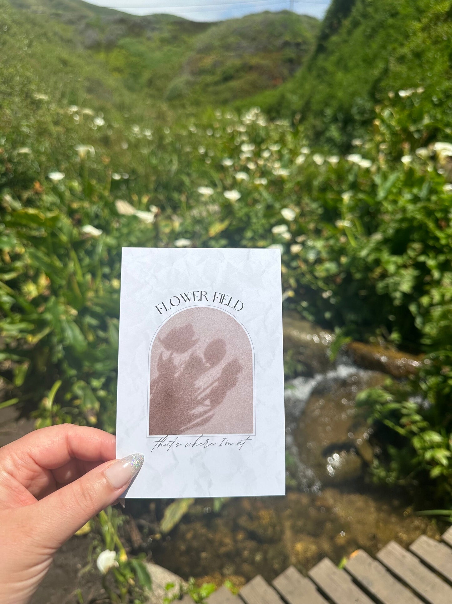 Flower Field Art Print